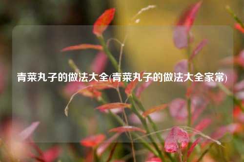 青菜丸子的做法大全(青菜丸子的做法大全家常)