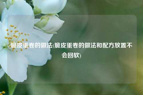 脆皮蛋卷的做法(脆皮蛋卷的做法和配方放置不会回软)