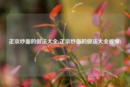 正宗炒面的做法大全(正宗炒面的做法大全视频)