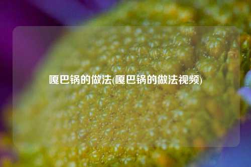 嘎巴锅的做法(嘎巴锅的做法视频)