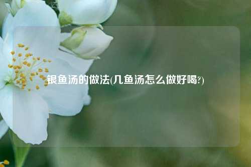 银鱼汤的做法(几鱼汤怎么做好喝?)
