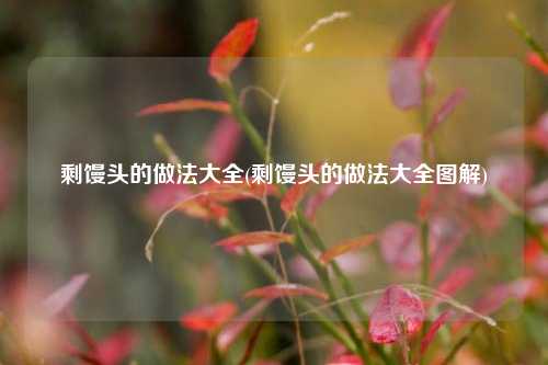 剩馒头的做法大全(剩馒头的做法大全图解)