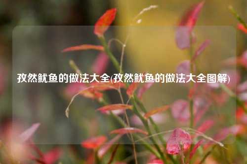孜然鱿鱼的做法大全(孜然鱿鱼的做法大全图解)