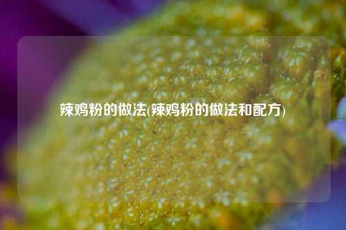 辣鸡粉的做法(辣鸡粉的做法和配方)
