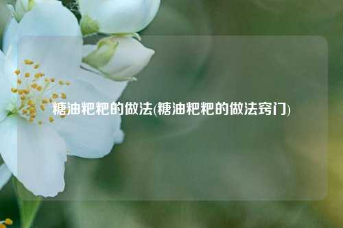 糖油粑粑的做法(糖油粑粑的做法窍门)
