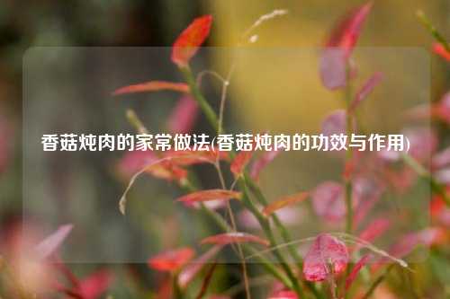 香菇炖肉的家常做法(香菇炖肉的功效与作用)