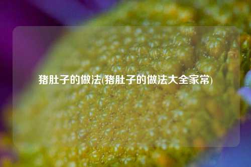 猪肚子的做法(猪肚子的做法大全家常)