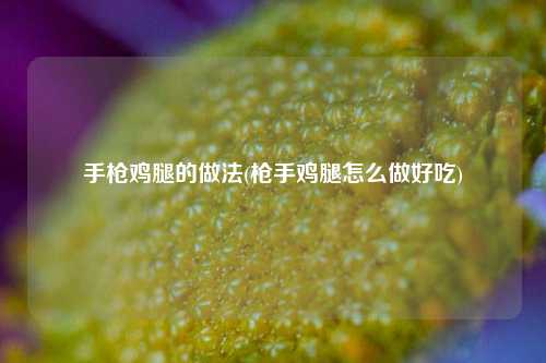 手枪鸡腿的做法(枪手鸡腿怎么做好吃)