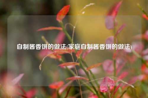 自制酱香饼的做法(家庭自制酱香饼的做法)