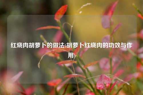 红烧肉胡萝卜的做法(胡萝卜红烧肉的功效与作用)
