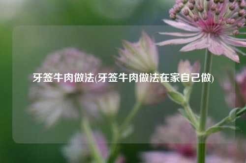牙签牛肉做法(牙签牛肉做法在家自己做)