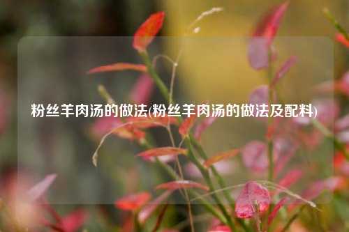 粉丝羊肉汤的做法(粉丝羊肉汤的做法及配料)