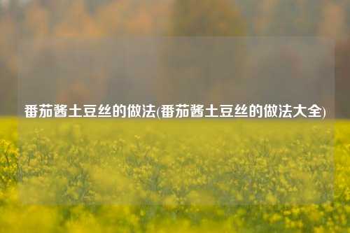 番茄酱土豆丝的做法(番茄酱土豆丝的做法大全)